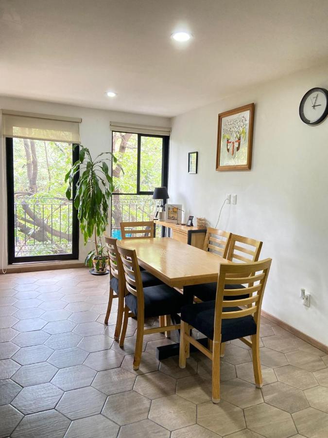 Apartment With Terrace Down Town Meksika Dış mekan fotoğraf